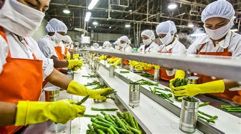 FOOD PROCESSING.